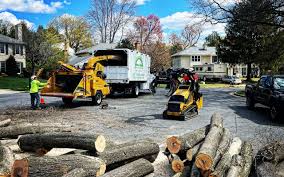 Best Tree Removal Service  in Meraux, LA